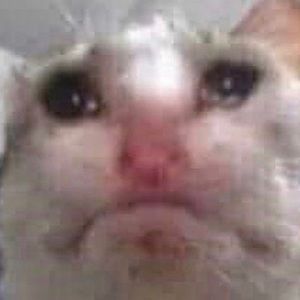 Meet your Posher, Mackenzie